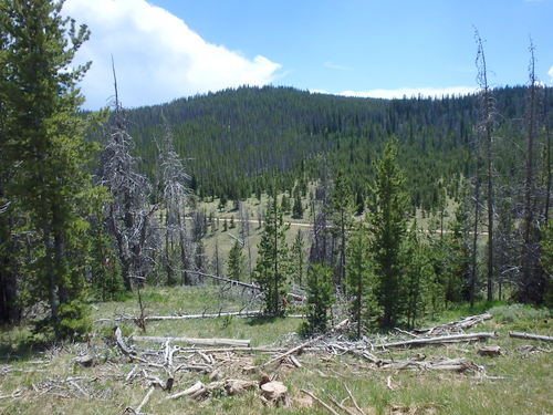 GDMBR: Our road ahead after we cross Trappers Creek.